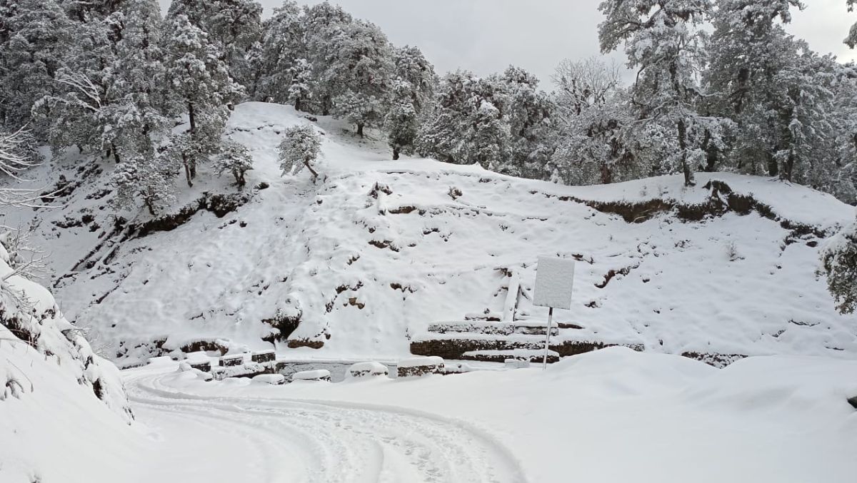 Winters Camp gallery - campsite area