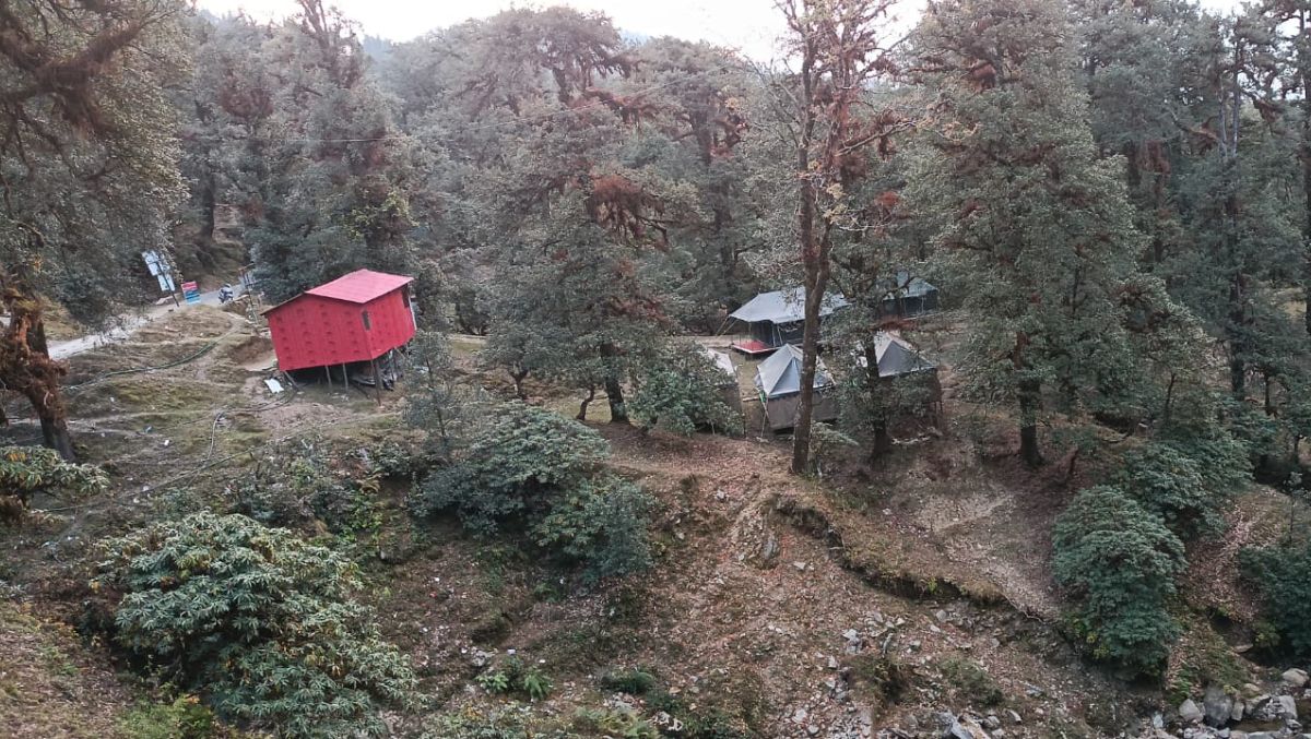 Winters Camp gallery - surrounding landscape