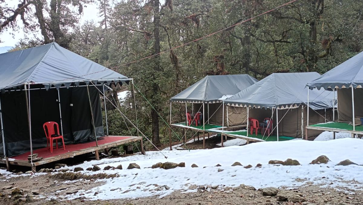 Winters Camp gallery - natural beauty