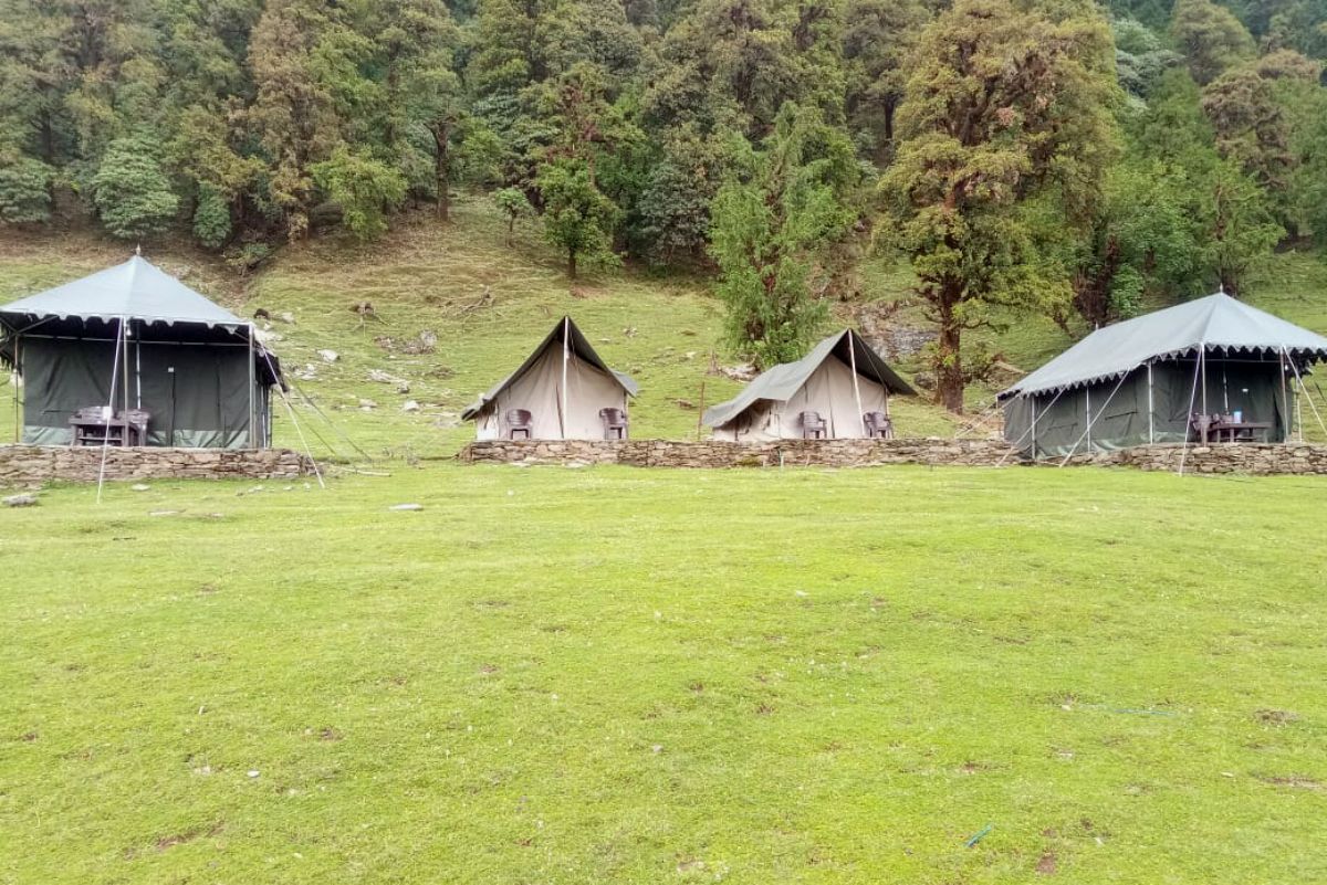 Camp with nature surroundings